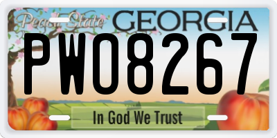 GA license plate PWO8267
