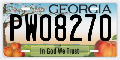 GA license plate PWO8270