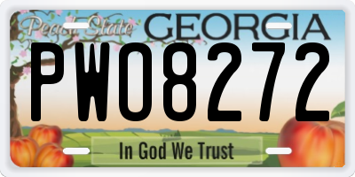 GA license plate PWO8272