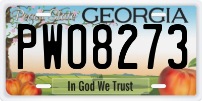 GA license plate PWO8273