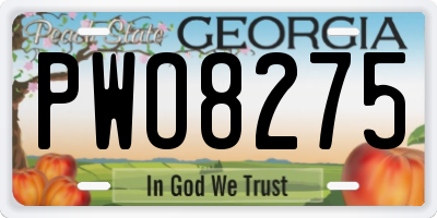 GA license plate PWO8275
