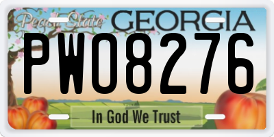 GA license plate PWO8276