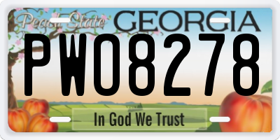 GA license plate PWO8278