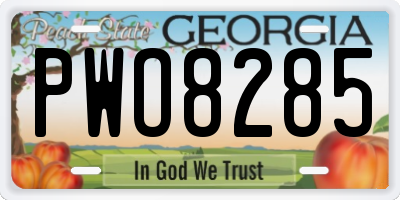 GA license plate PWO8285