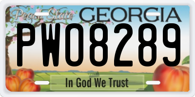 GA license plate PWO8289