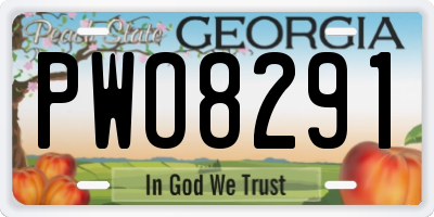 GA license plate PWO8291