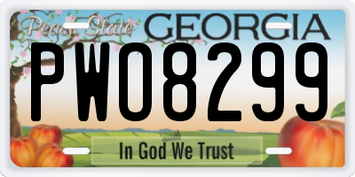 GA license plate PWO8299