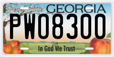 GA license plate PWO8300