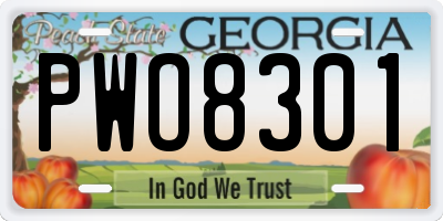 GA license plate PWO8301