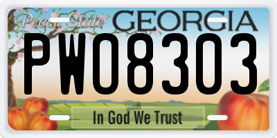 GA license plate PWO8303