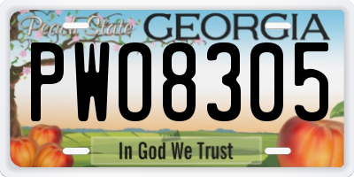 GA license plate PWO8305