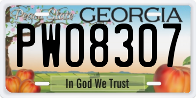 GA license plate PWO8307