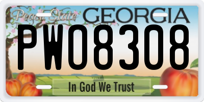 GA license plate PWO8308