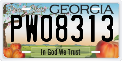 GA license plate PWO8313