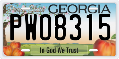 GA license plate PWO8315