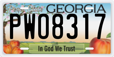 GA license plate PWO8317