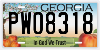 GA license plate PWO8318