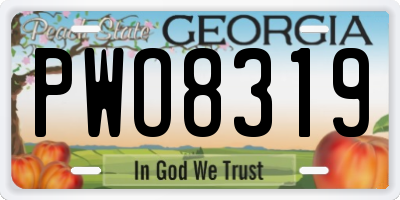 GA license plate PWO8319