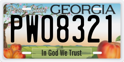 GA license plate PWO8321
