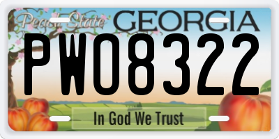 GA license plate PWO8322
