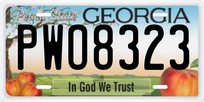 GA license plate PWO8323