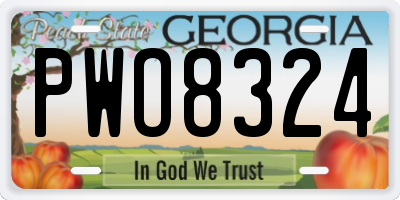 GA license plate PWO8324