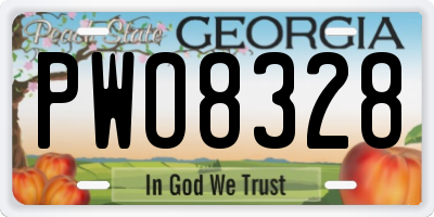 GA license plate PWO8328