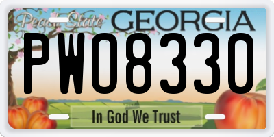 GA license plate PWO8330
