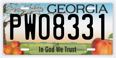 GA license plate PWO8331
