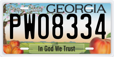 GA license plate PWO8334