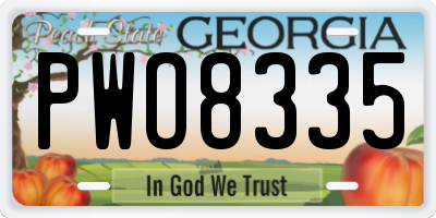 GA license plate PWO8335