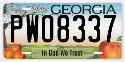 GA license plate PWO8337