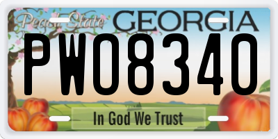 GA license plate PWO8340