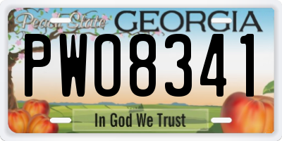 GA license plate PWO8341