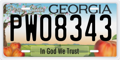 GA license plate PWO8343
