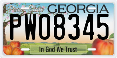 GA license plate PWO8345
