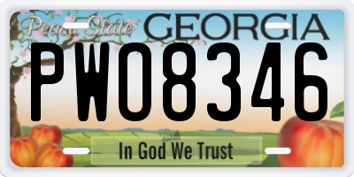 GA license plate PWO8346