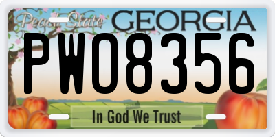 GA license plate PWO8356