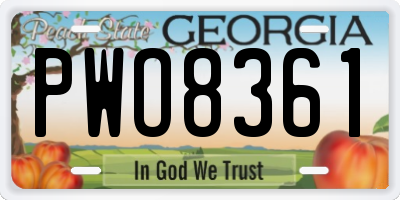 GA license plate PWO8361