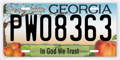 GA license plate PWO8363