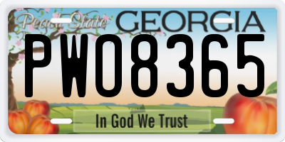 GA license plate PWO8365