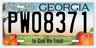 GA license plate PWO8371