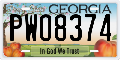 GA license plate PWO8374