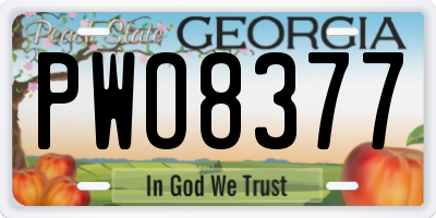 GA license plate PWO8377