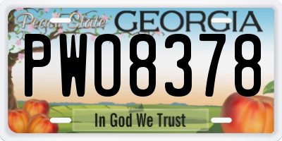 GA license plate PWO8378