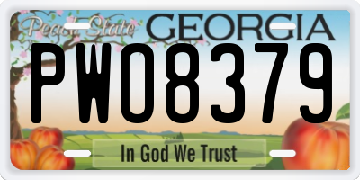 GA license plate PWO8379