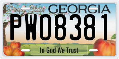 GA license plate PWO8381