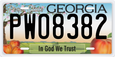 GA license plate PWO8382