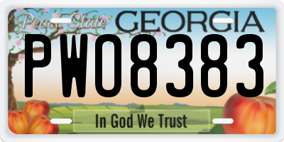 GA license plate PWO8383