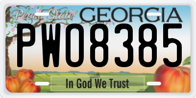 GA license plate PWO8385